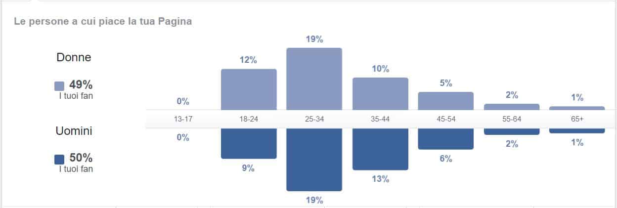 E-city group Insights